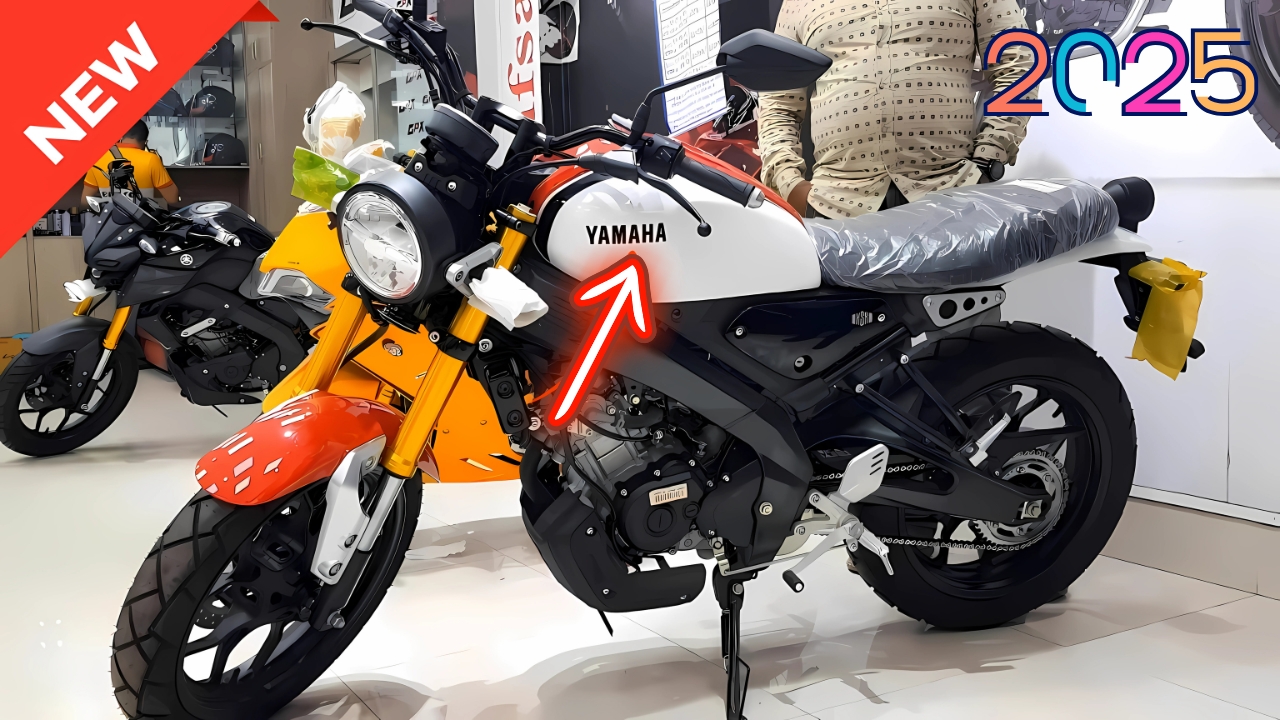 Yamaha XSR 155